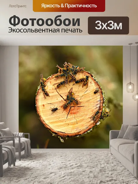 Фотообои Желтый пиджак оса