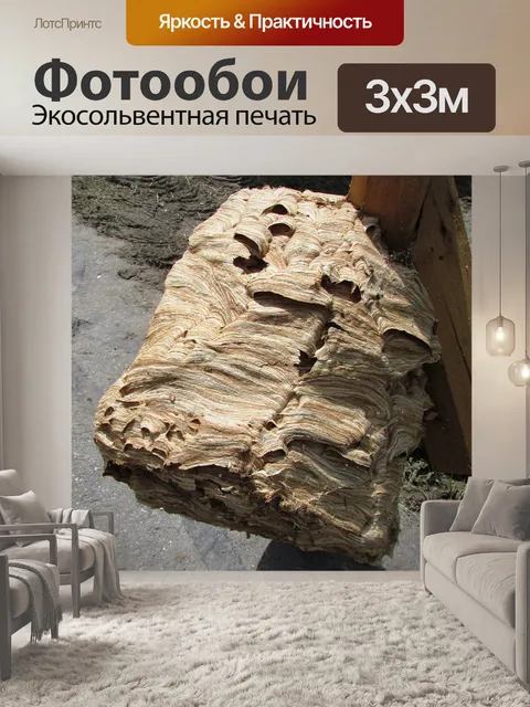 Фотообои Осиное гнездо