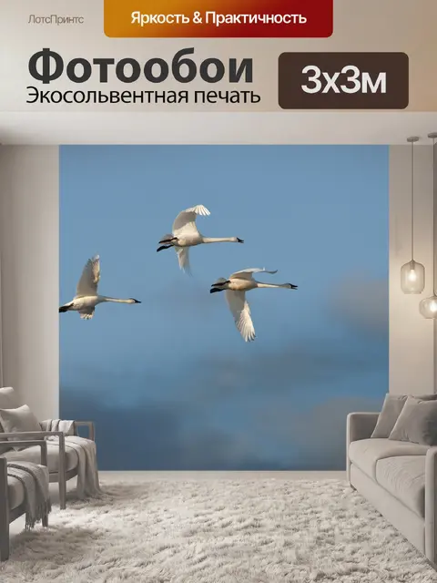 Фотообои Лебеди