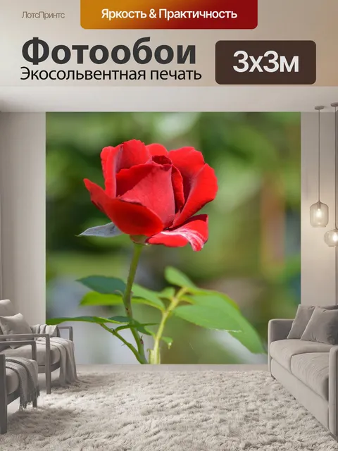Фотообои Красные розы