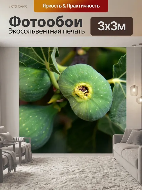 Фотообои Инжир