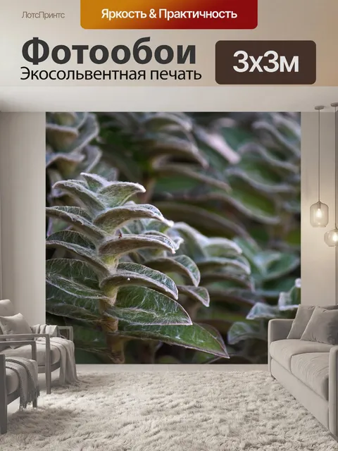 Фотообои колосья ягненка с пушистыми листьями