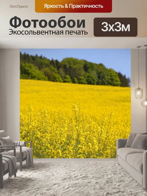 Фотообои Поле