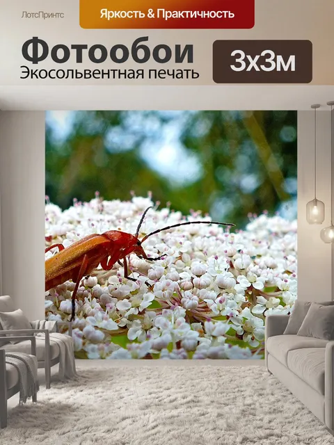 Фотообои Природа