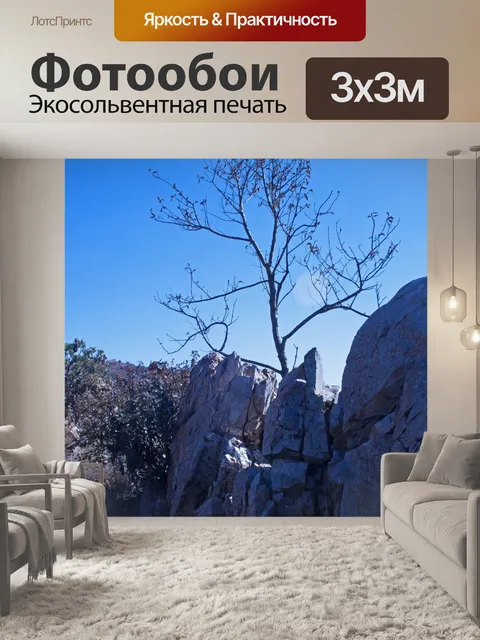 Фотообои дерево, растущее из скалистого уступа