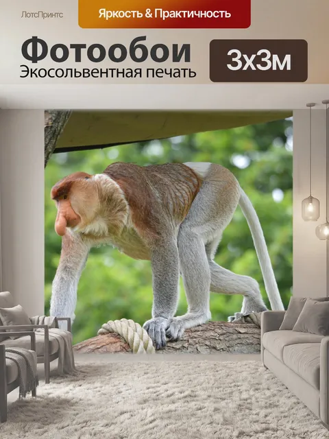 Фотообои Обезьяна хоботок 1