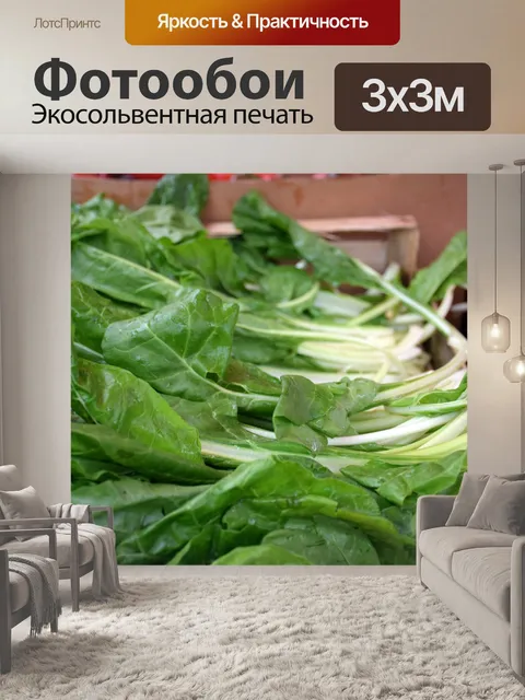 Фотообои Мангольд