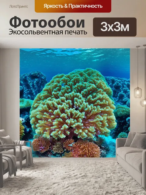 Фотообои подводная фотография кораллового рифа