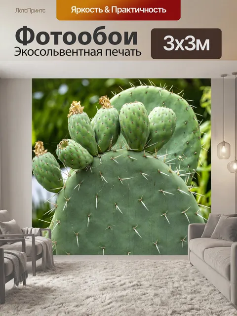 Фотообои Нопал Кактус