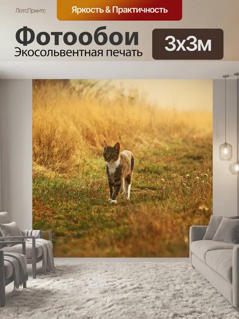 Фотообои Кот