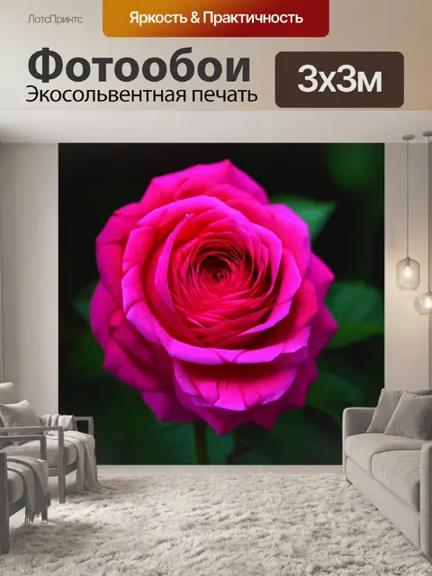 Фотообои розы в стиле абстракции, абстрактные формы, переплетающиеся линии и мягкие цвета
