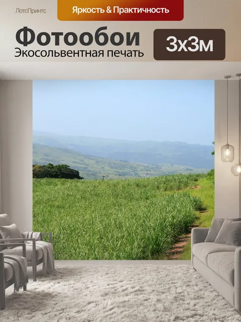 Фотообои зеленый сахарный тростник пейзаж