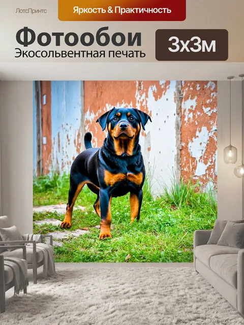 Фотообои ротвейлер, стоящий на фоне старого заброшенного здания, с серьёзным выражением лица