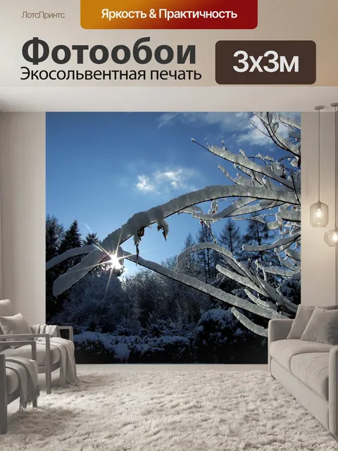 Фотообои Зима