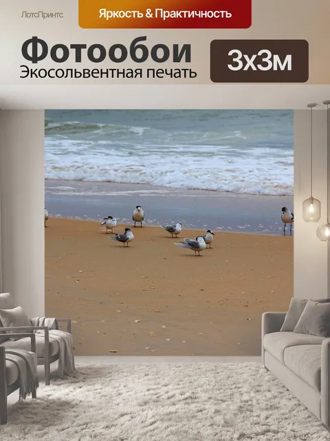 Фотообои Чайки