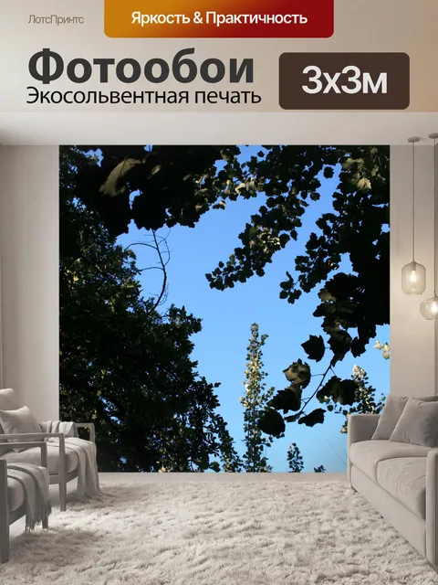 Фотообои Голубое небо
