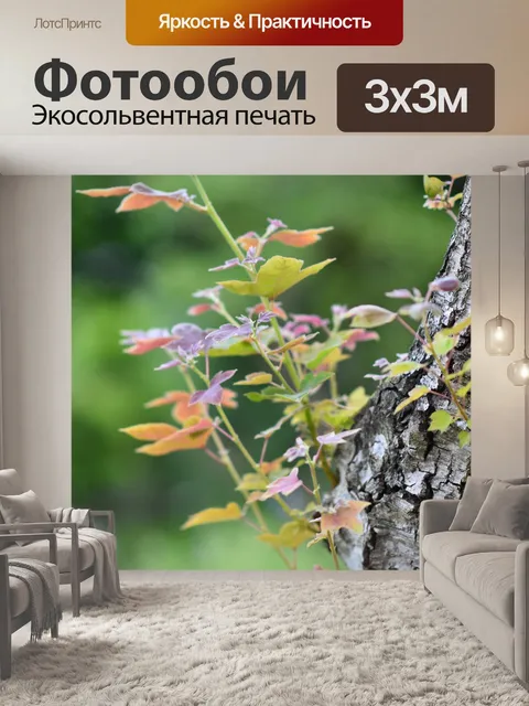 Фотообои Листья