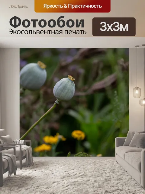 Фотообои Маковые головки
