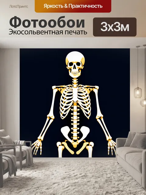 Фотообои стиллизованная иллюстрация скелета