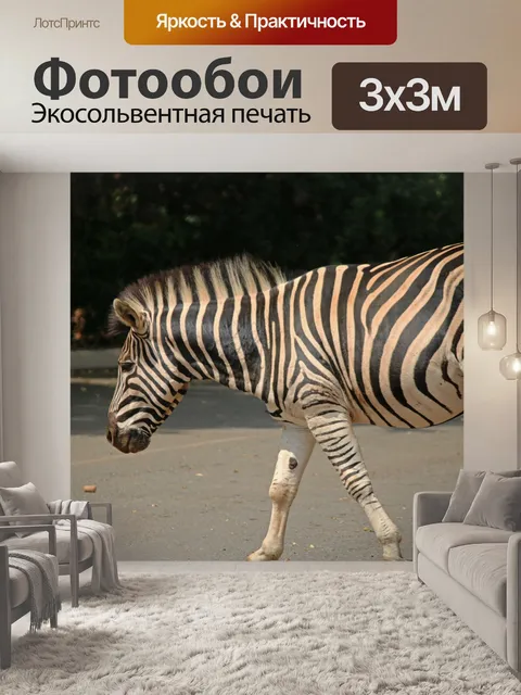 Фотообои зебра на дороге в зоне пикника