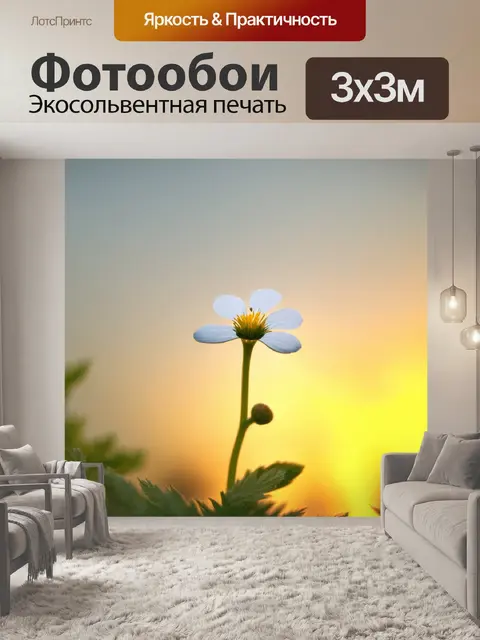 Фотообои на контрастном фоне вечернего заката распускается небольшой белый цветок