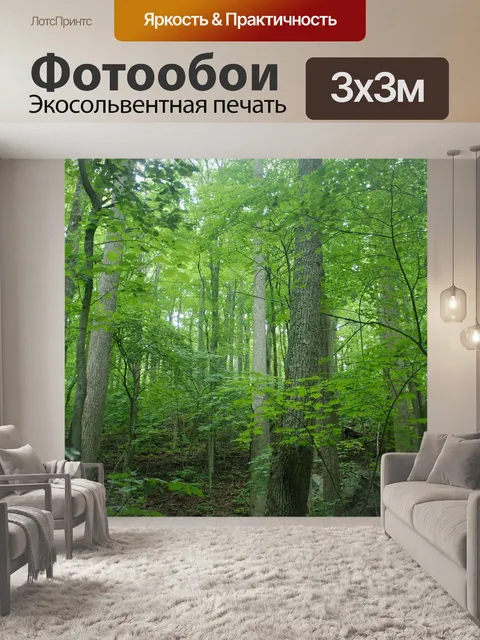 Фотообои Лес