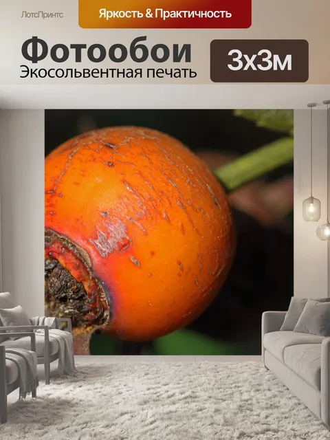 Фотообои крупным планом оранжевый шиповник