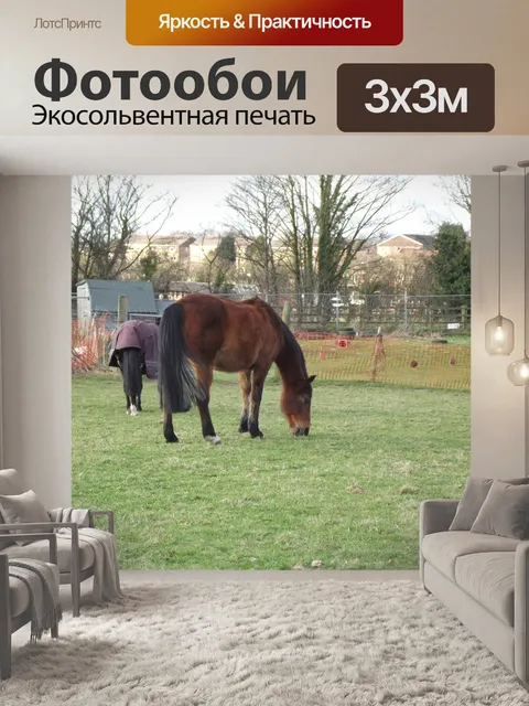 Фотообои Лошадь - Down On The Farm