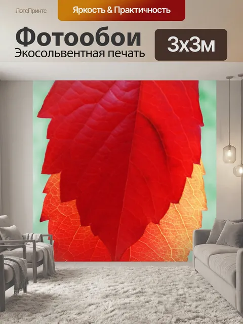 Фотообои Красный лист