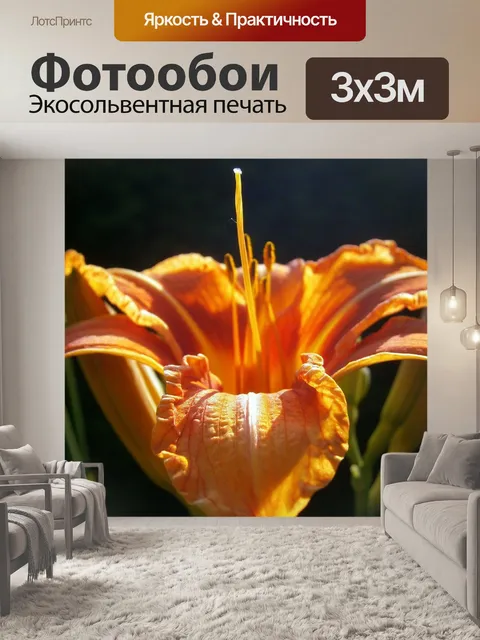 Фотообои Лили