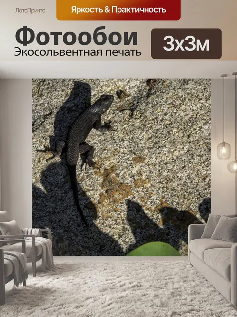 Фотообои ящерица