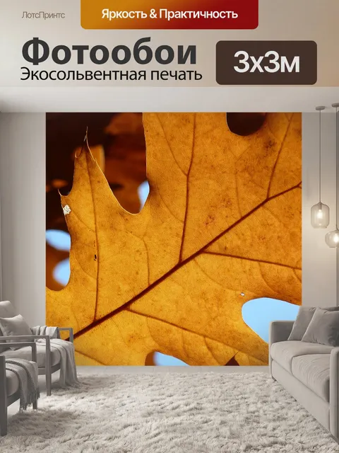 Фотообои Дуб