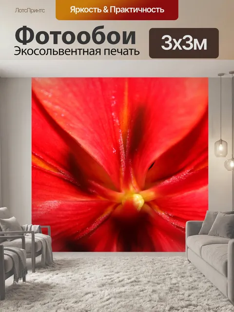 Фотообои Красный цветок