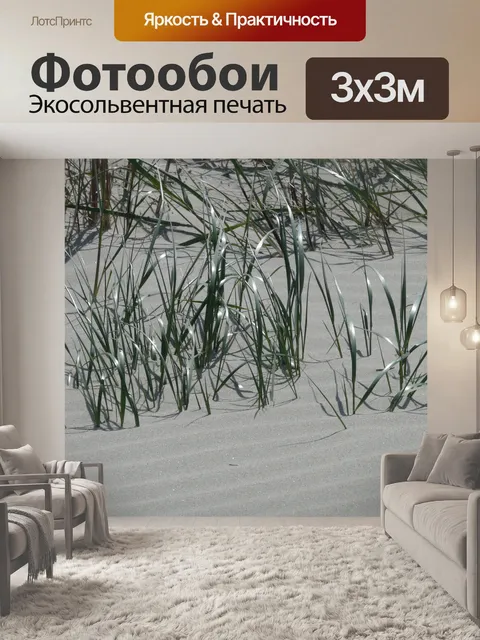 Фотообои Пляжная трава