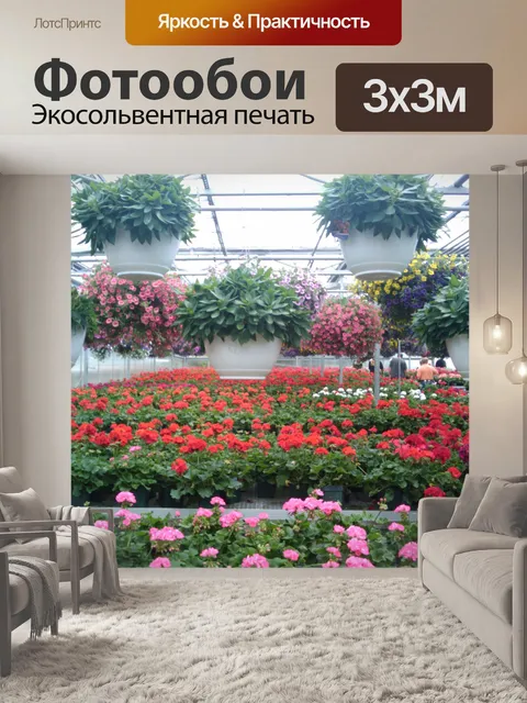 Фотообои Весенние цветы парниковых 11