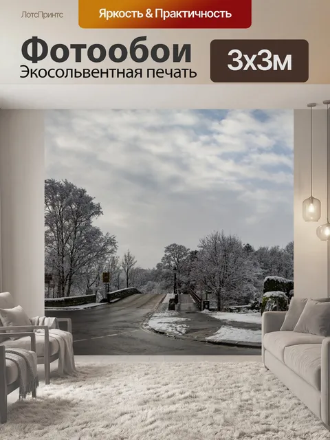 Фотообои Зима в деревне