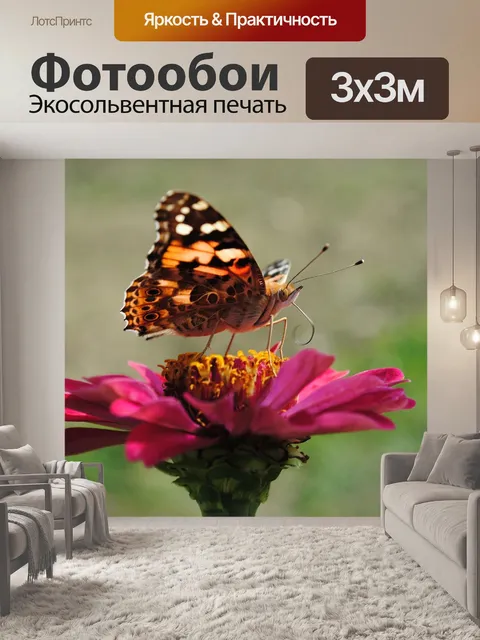 Фотообои Бабочка
