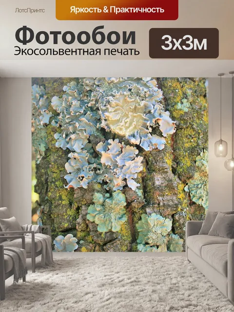 Фотообои ствол дерева с образованием лишайников