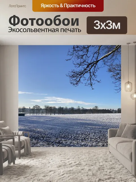 Фотообои Холодный