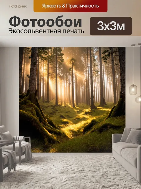 Фотообои Высокогорный сосновый лес в тумане, солнечные лучи проходят сквозь деревья
