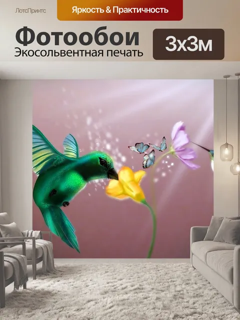 Фотообои Колибри