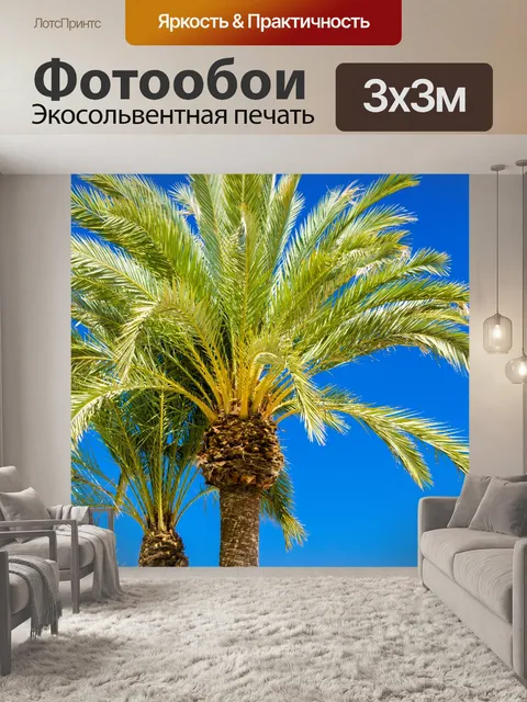 Фотообои Пальмы и голубое небо