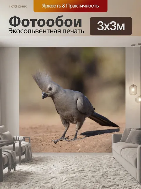 Фотообои Лурье