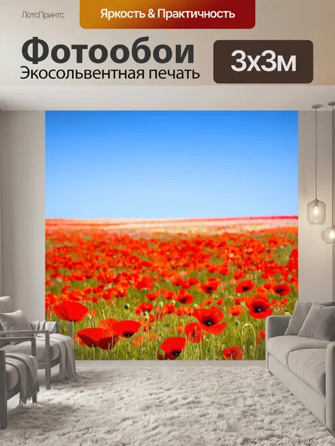Фотообои красочные поля с маком, где яркие цветы противостоят ясному голубому небу