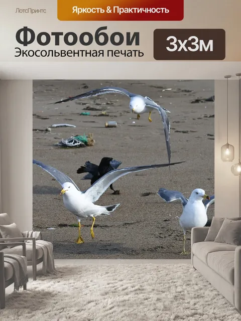 Фотообои Животное