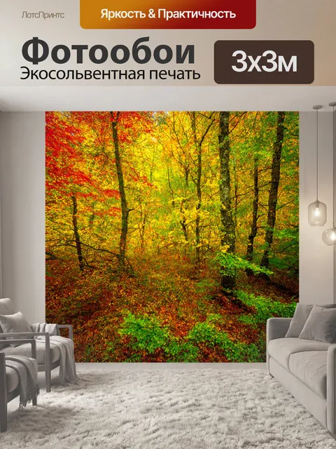 Фотообои лес с многоцветной палитрой, отображающей дары каждой поры года