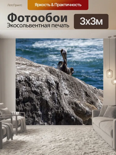 Фотообои Пеликан