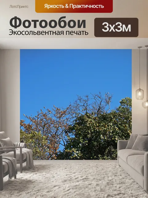 Фотообои верхушки зеленых деревьев с листвой