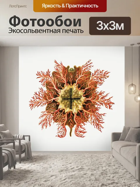 Фотообои Морская медуза винтажное искусство