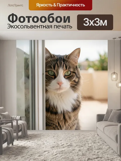 Фотообои Полосатый кот у окна